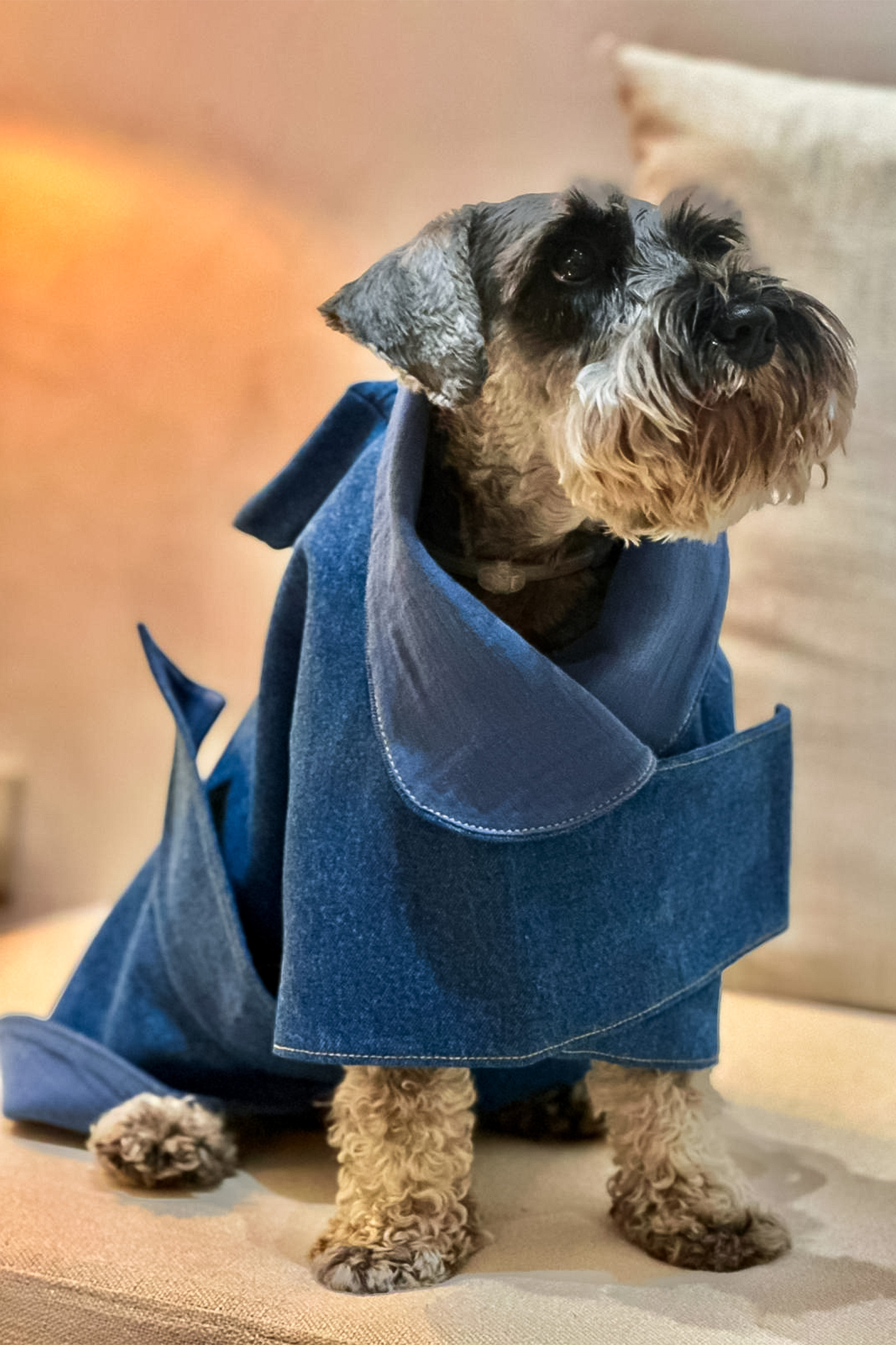 Denim Pet Outfit with Pouch
